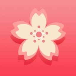 樱花app直播软件 2.9