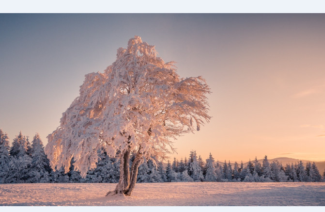 雪景壁纸手机高清图片 截图