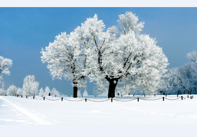 雪景壁纸手机高清图片 截图