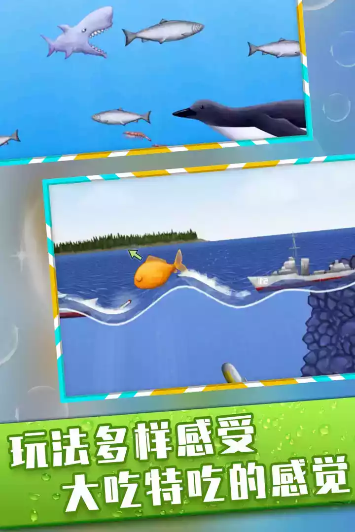 大白鲨游戏破解版 截图