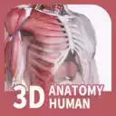 口袋解剖app