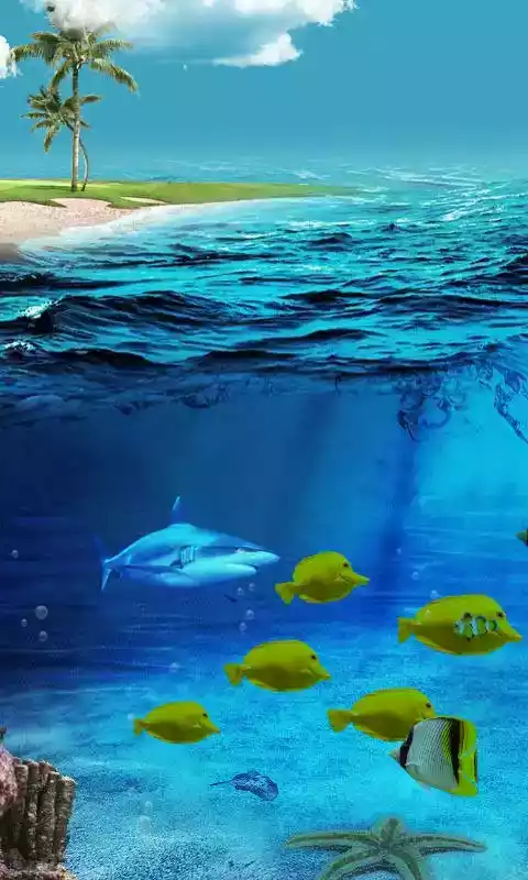 3d海底世界动态壁纸高清 截图