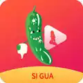 丝瓜香蕉草莓视频app安卓版