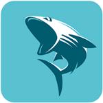 鲨鱼影视官网手机版
