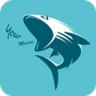 鲨鱼视频app最新版本