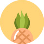 菠萝蜜app汅api免费苹果