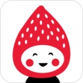 直播小草莓App 1.1