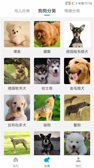动物翻译器 截图