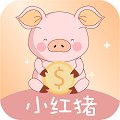 小红猪钱包app贷款入口