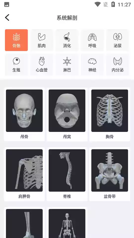 口袋解剖app 截图