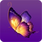 蝴蝶视频应用软件