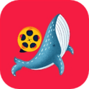 鲸鱼视频app软件 1.6