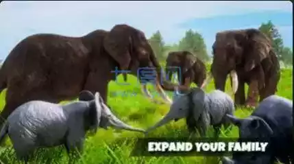 大象模拟器百科 截图