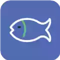 小鱼TV app 2.3.56