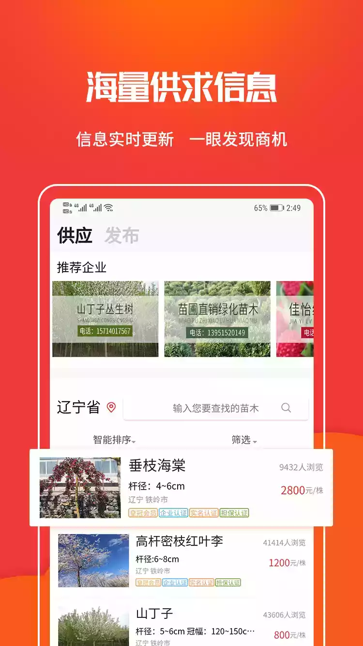 中国树苗网官网地址 截图