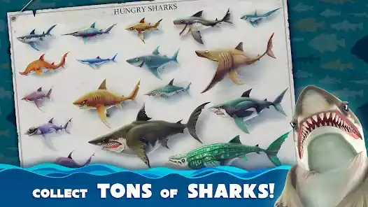 饥饿鲨世界国际服Hungry Shark 截图