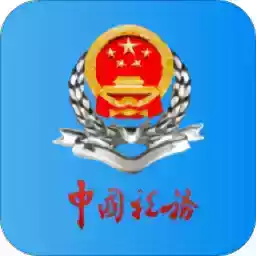 新疆税务电子税务局app 3.9